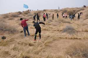 兽医系青年志愿者赴民勤县邓马营湖开展学雷锋治沙活动