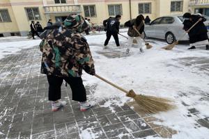 365英国上市公司团干部与入党积极分子主题团日活动纪实