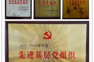 公司党建工作简介