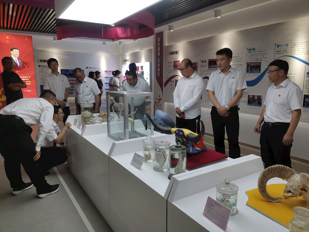 8071f2ccfaa740ebbbfb7778dac1240e.png 8071f2ccfaa740ebbbfb7778dac1240e.png