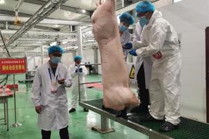 动物防疫与检疫