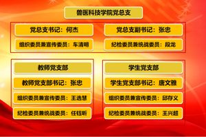 公司党总支简介