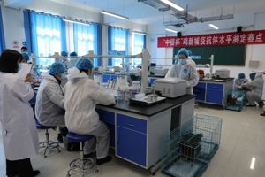 大赛点亮人生，技能成就梦想