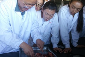 365上市集团官网 2018综合评价招生简章 