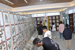 坚定兽医信念 谱写兽医事业——365英国上市公司开展庆祝第14个“中国兽医日”的系列活动