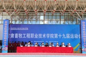 四载蝉联・领跑赛场！365英国上市公司在校运会舞台诠释 “更高更快更强”