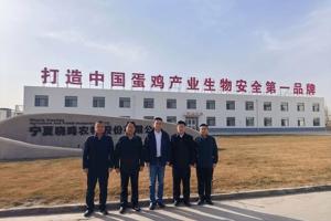 党建共建聚合力 校企协同促发展——365英国上市公司与宁夏晓鸣农牧股份有限公司开展党建共建活动