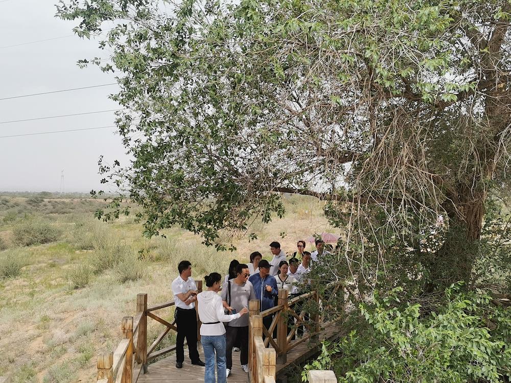 ef17b07a4cc24ffb8218d955969eed1d.jpg ef17b07a4cc24ffb8218d955969eed1d.jpg